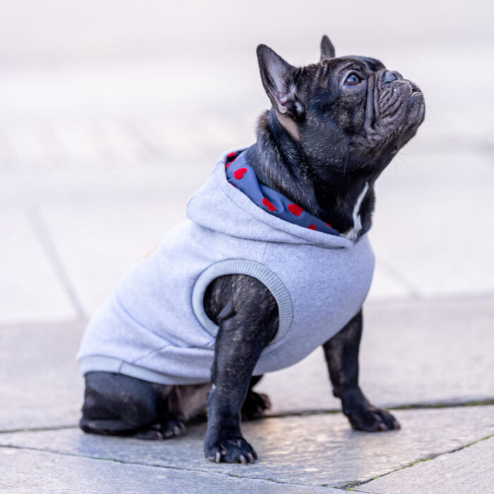Felpa in cotone con cappuccio per cani