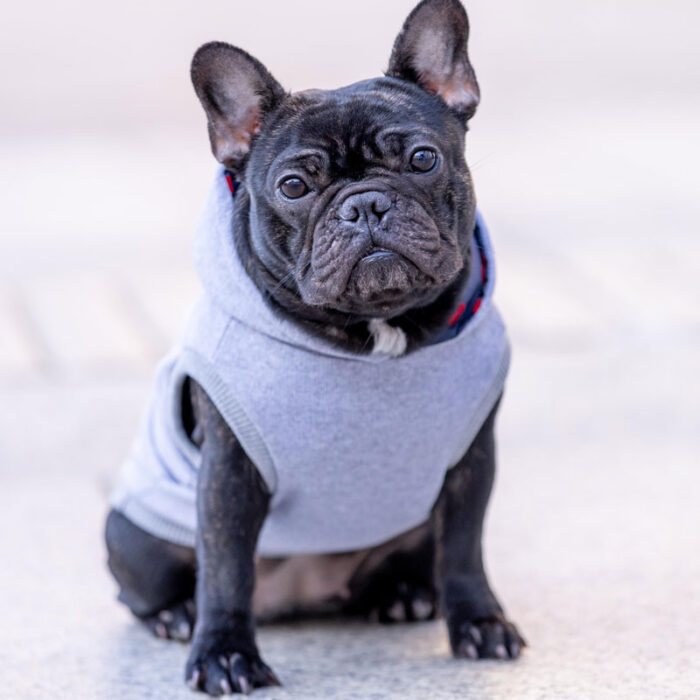Felpa in cotone con cappuccio per cani - immagine 8