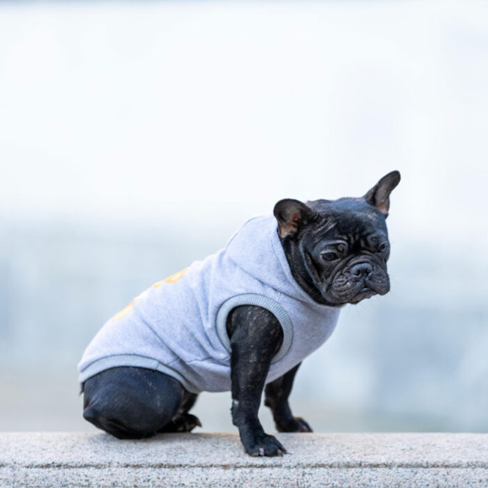 Felpa in cotone con cappuccio per cani - immagine 6